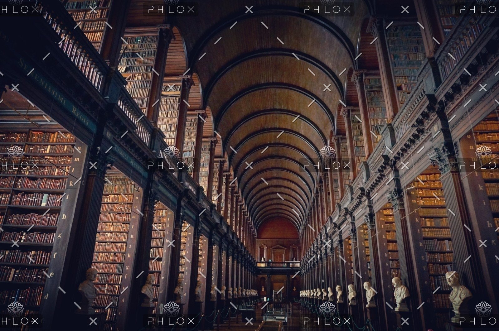 j zamora 267753 unsplash